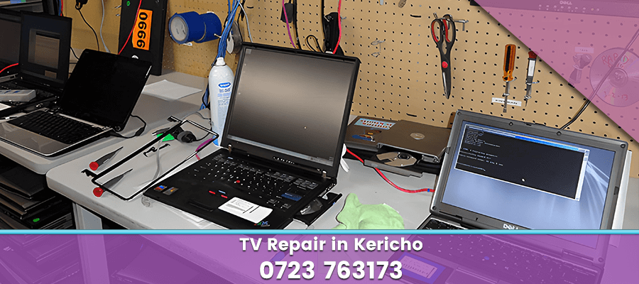 TV Repair in Kericho 0723 763173