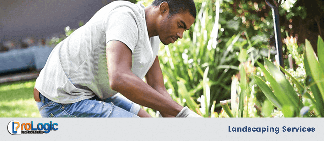 Landscaping Services in Nairobi 1